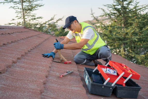Best Roof Inspection Near Me  in Hendersonville, NC