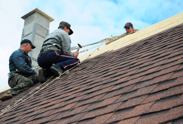 Best Shingle Roofing Installation  in Hendersonville, NC